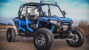 Dune Buggy Passenger Experience